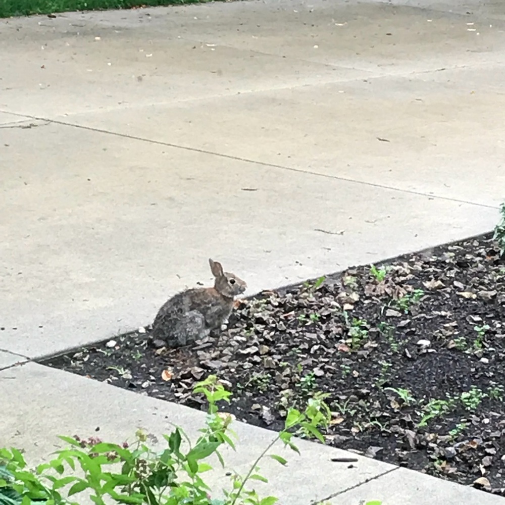 Meet your Posher, Bella Design